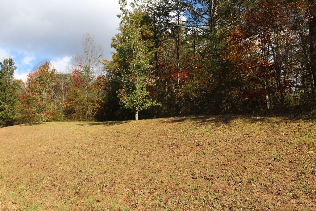 Lot 17 Old Taylors Ferry Ridge Property Photo 8