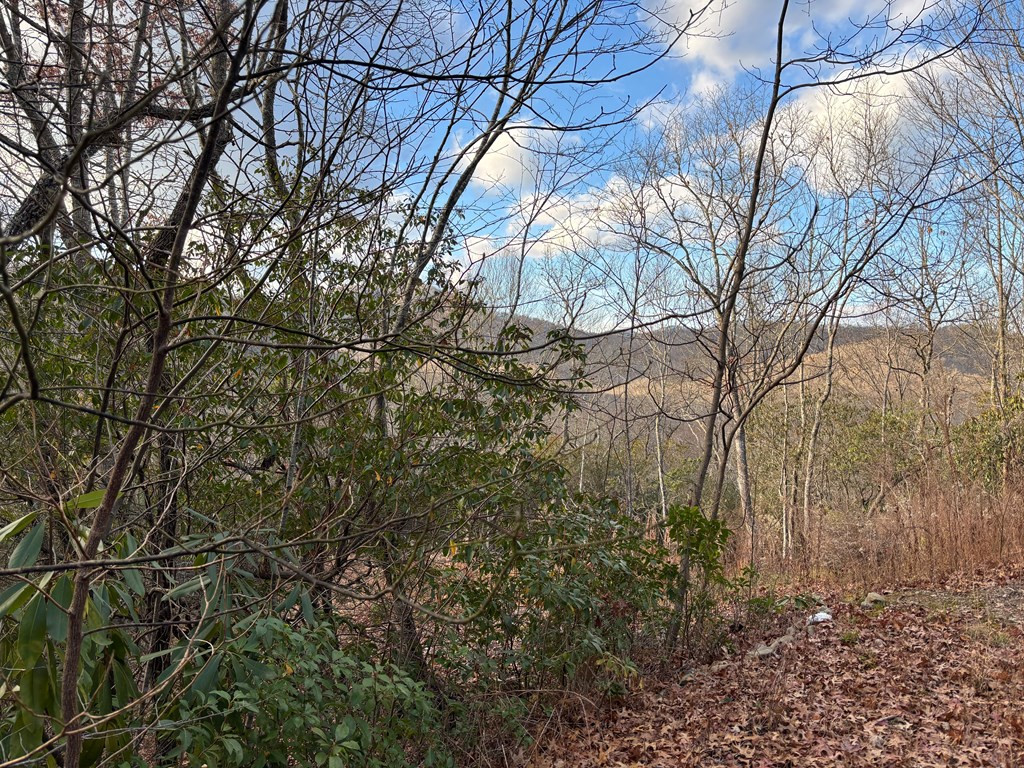 2.02 Ac Viewforth Property Photo 2