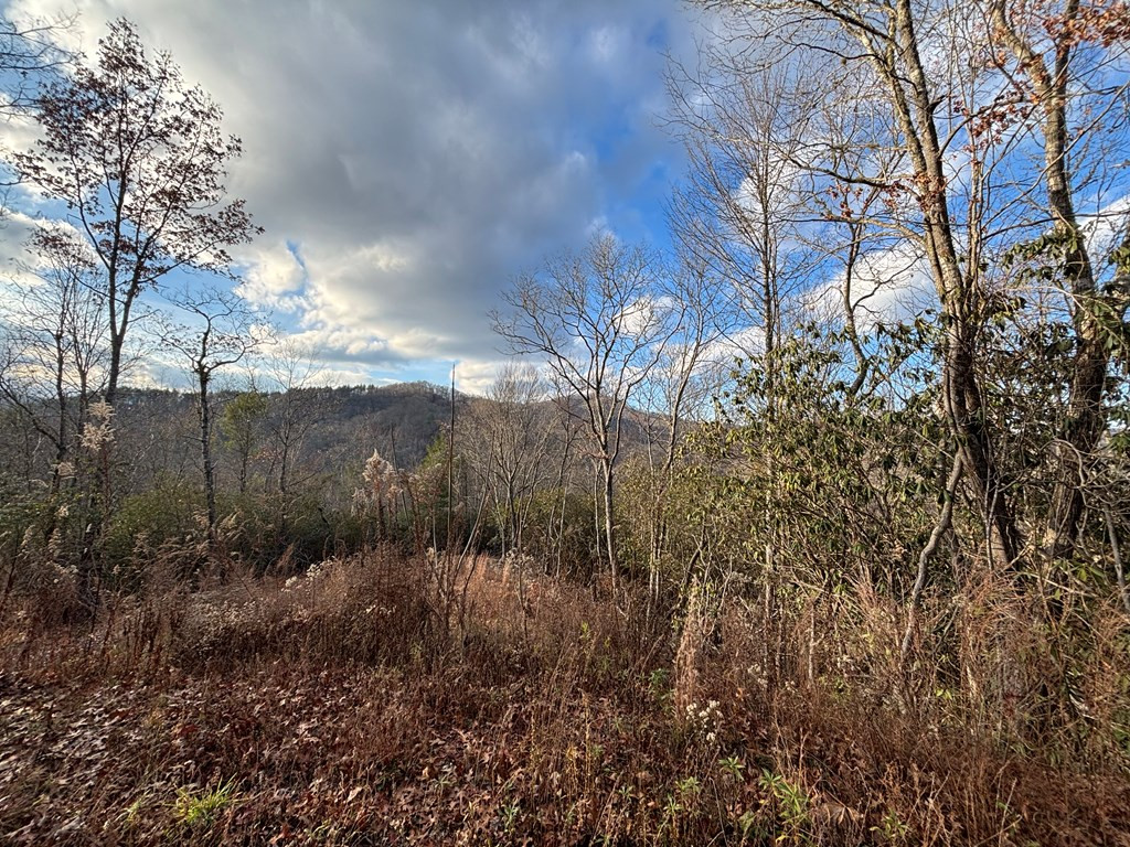 2.02 Ac Viewforth Property Photo 3