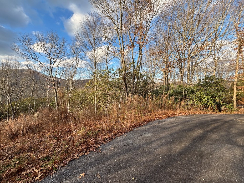 2.02 Ac Viewforth Property Photo 4