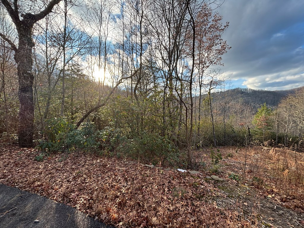 2.02 Ac Viewforth Property Photo 6