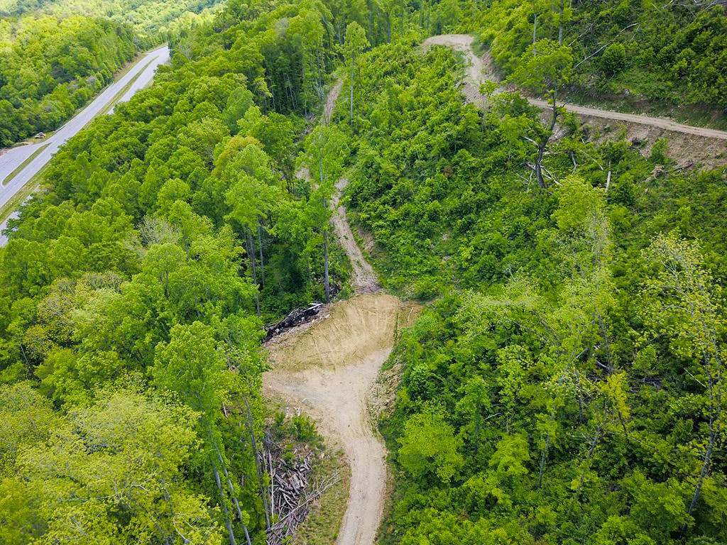 000 Highway 19 Property Photo 13