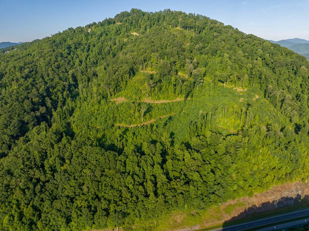 000 Highway 19 Property Photo 21