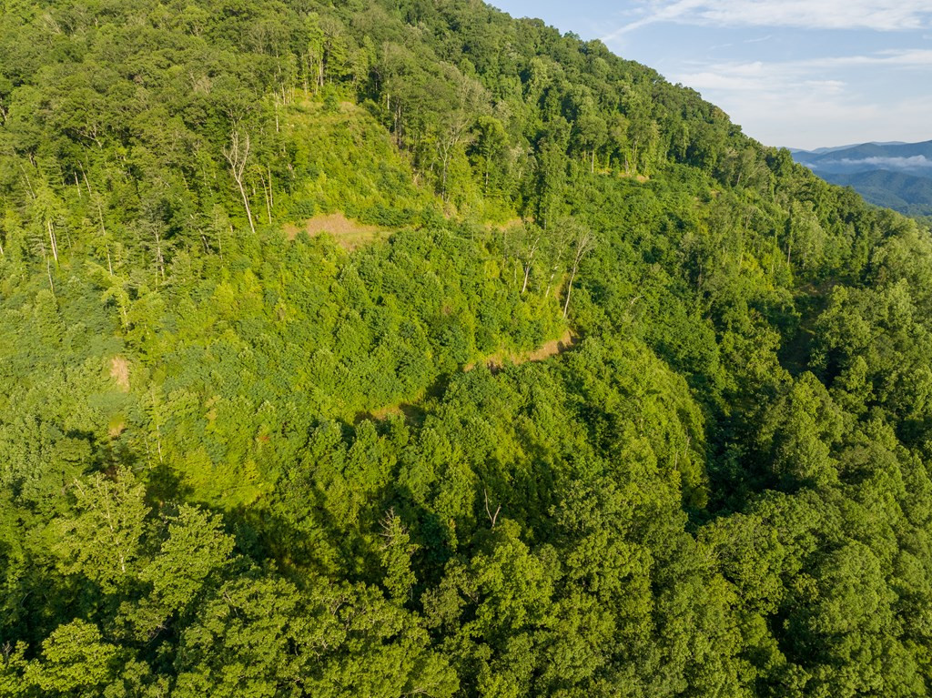 000 Highway 19 Property Photo 33
