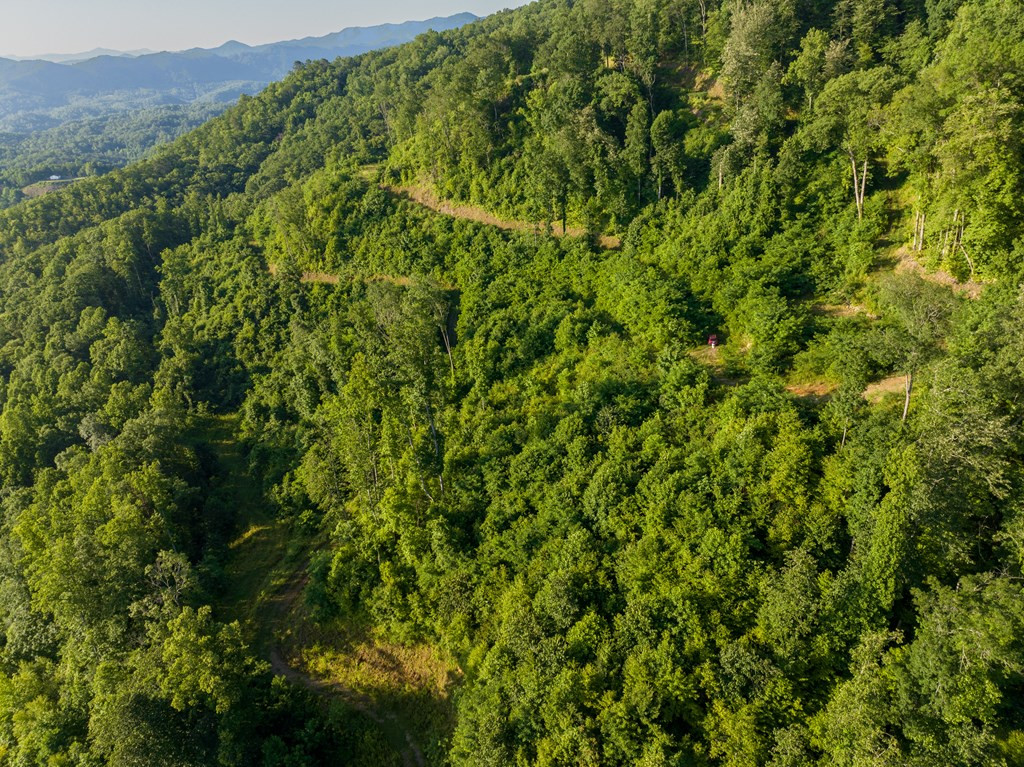 000 Highway 19 Property Photo 34