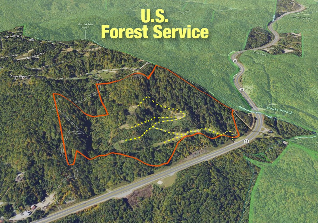 000 Highway 19 Property Photo 35