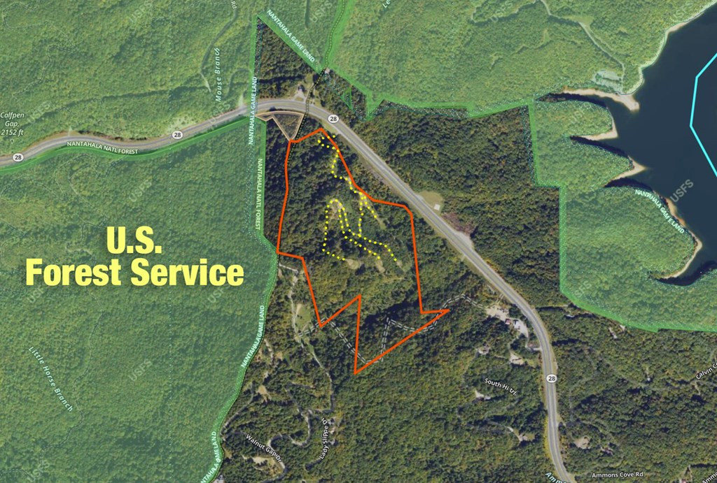 000 Highway 19 Property Photo 37