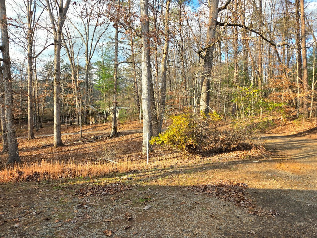 196 Johnson Ridge Property Photo 11