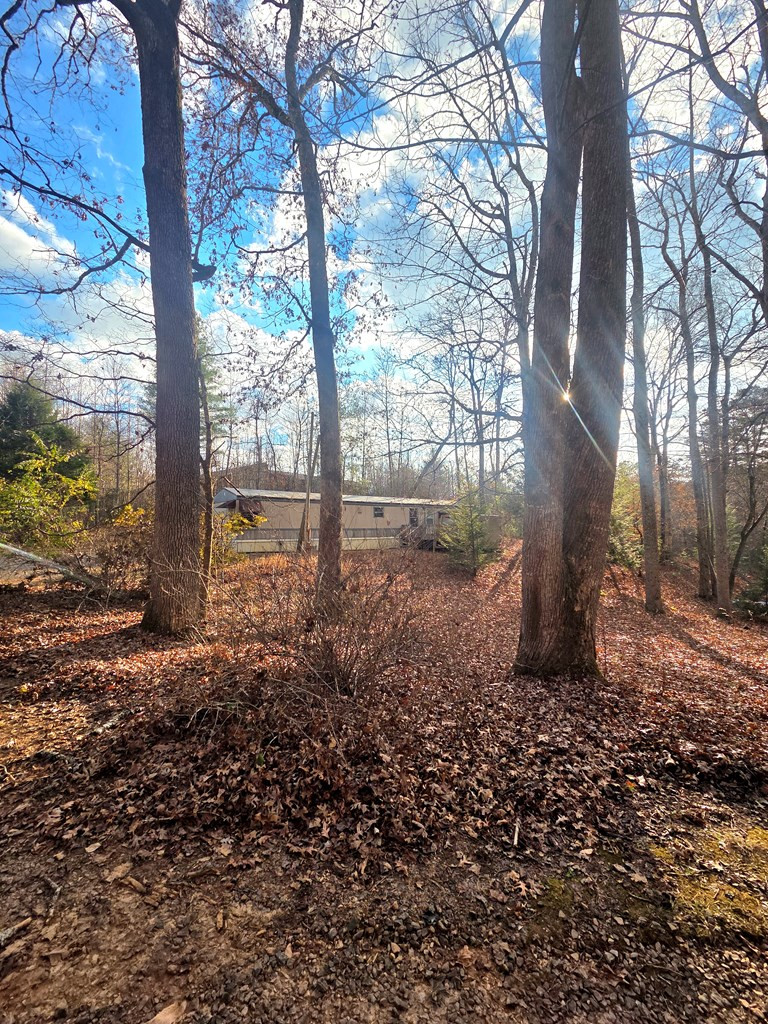 196 Johnson Ridge Property Photo 16