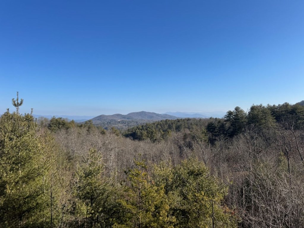 821 Point Overlook Trail Property Photo 2
