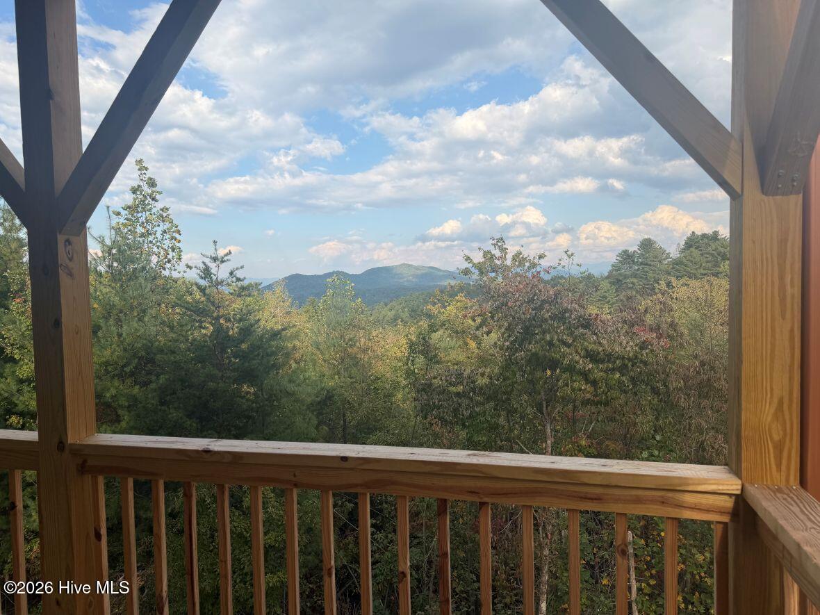 821 Point Overlook Trail Property Photo 12