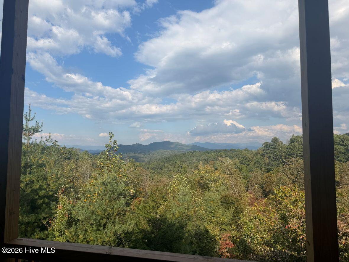 821 Point Overlook Trail Property Photo 15