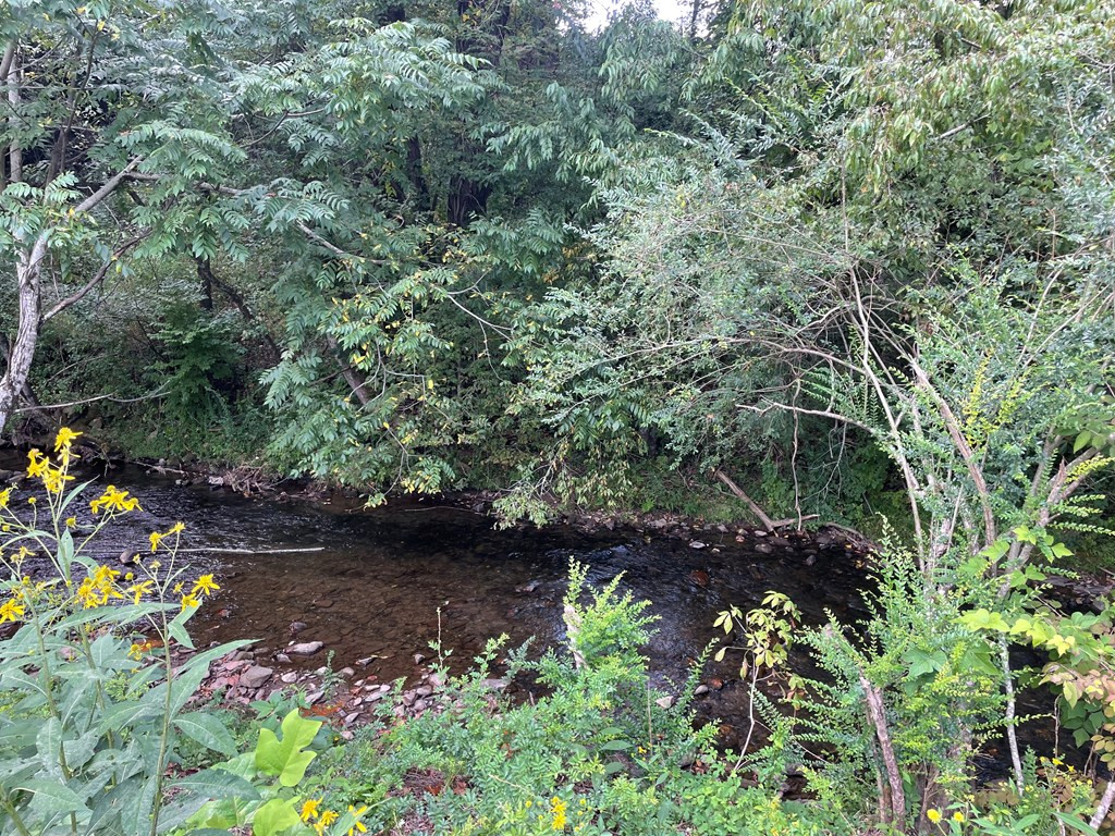 00 Highway 19 Property Photo 10