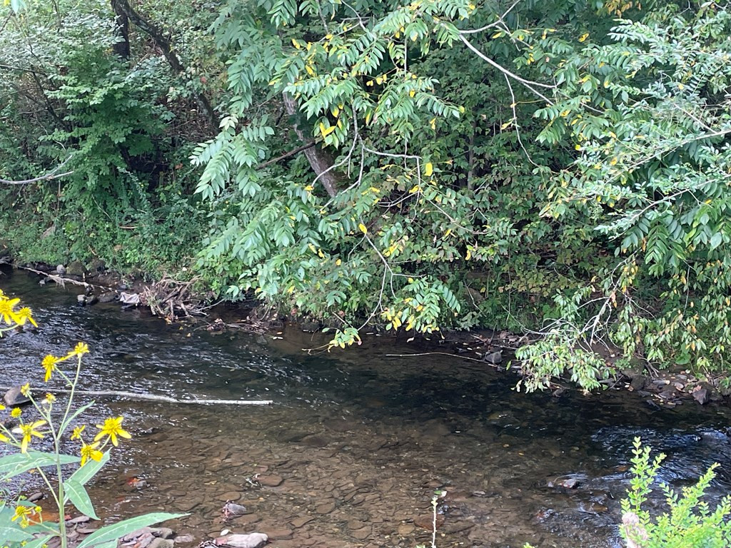 00 Highway 19 Property Photo 11