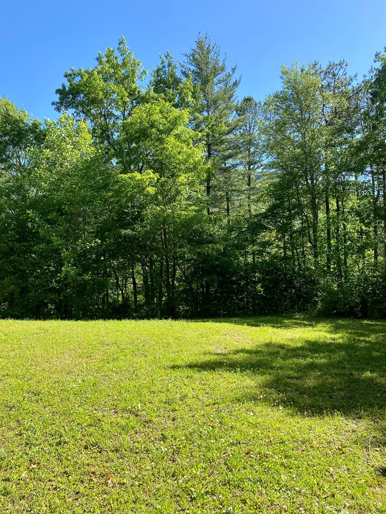 00 Deer Run Property Photo 2