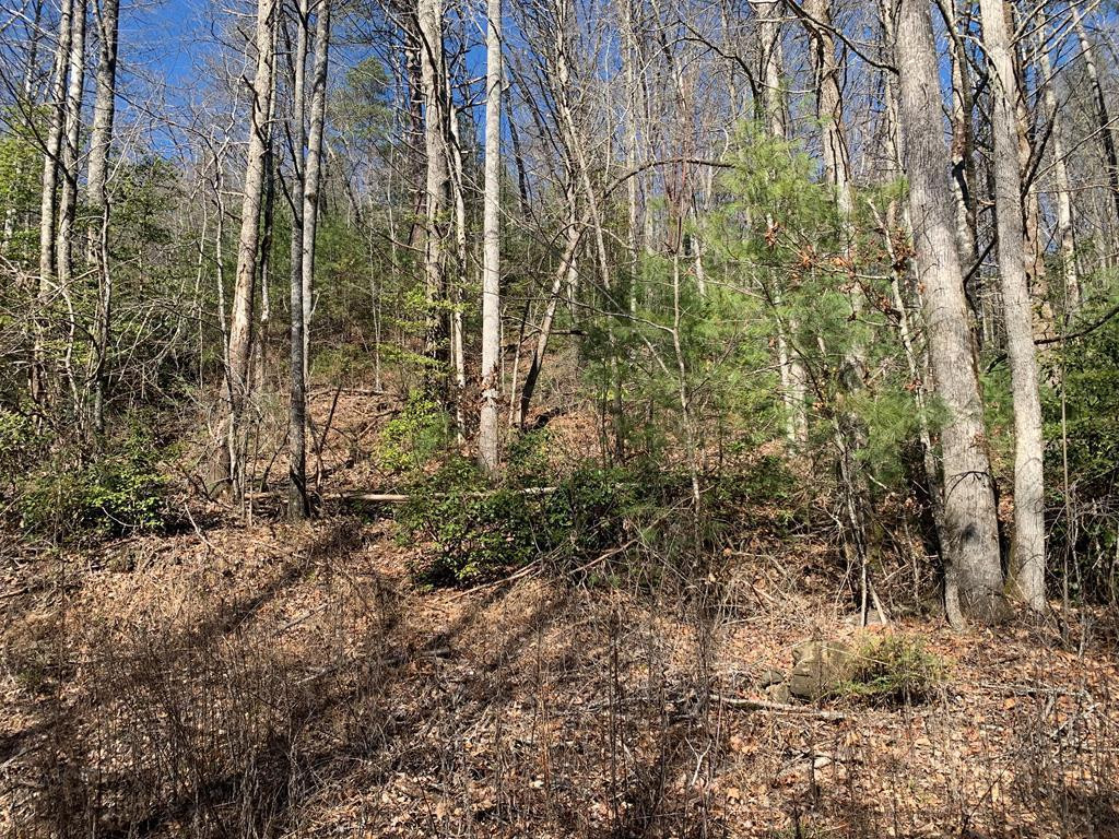 1933 Ford Road Property Photo 7