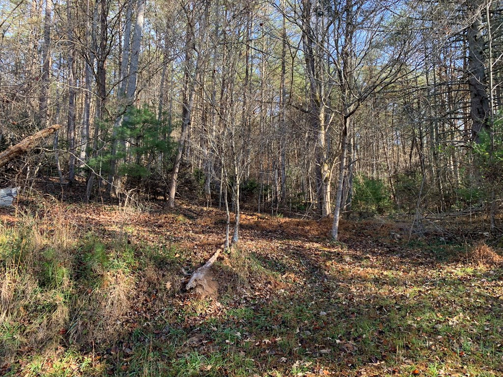 1933 Ford Road Property Photo 11