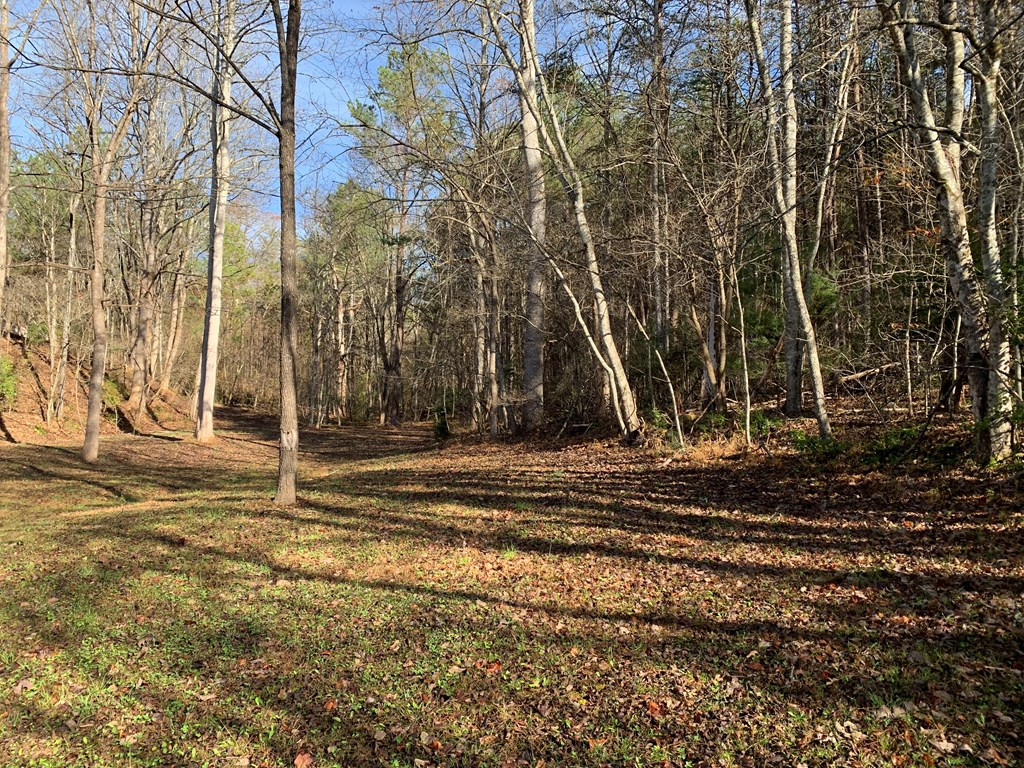 1933 Ford Road Property Photo 28