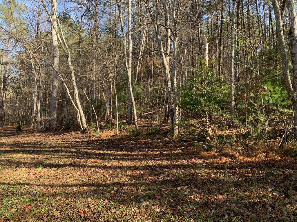 1933 Ford Road Property Photo 29