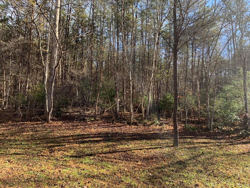 1933 Ford Road Property Photo 40