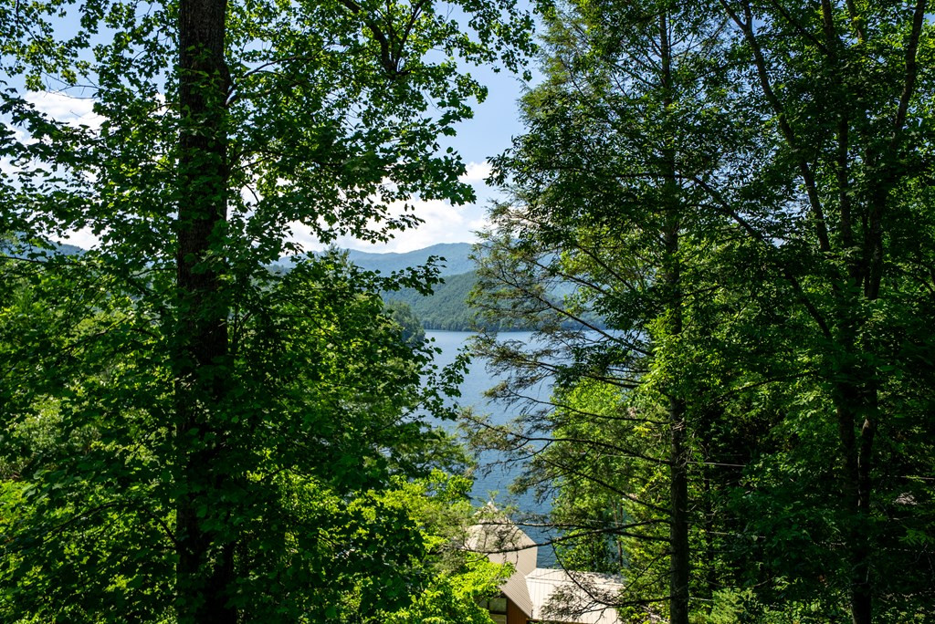 14 Chalet Village Property Photo 6