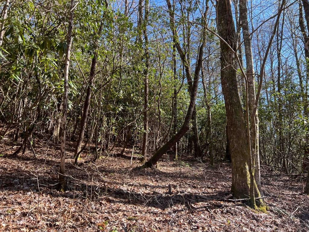 4.90 Wayah Road Property Photo 1