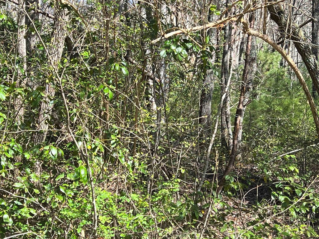 4.90 Wayah Road Property Photo 5