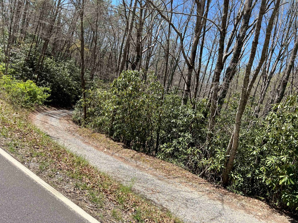 4.90 Wayah Road Property Photo 8
