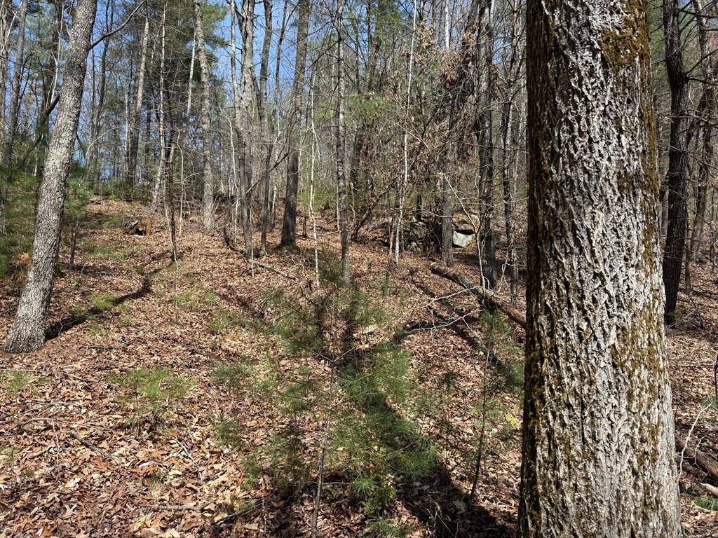 0 Morrow Road Property Photo 2