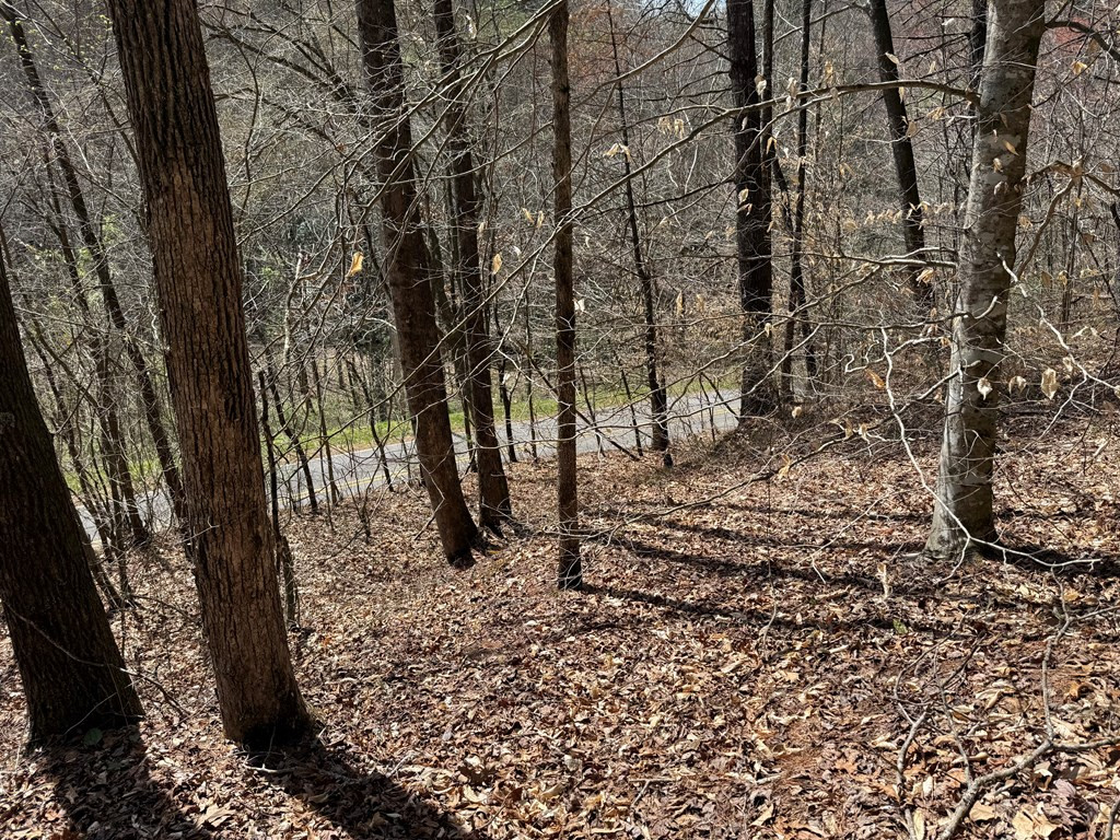 0 Morrow Road Property Photo 3