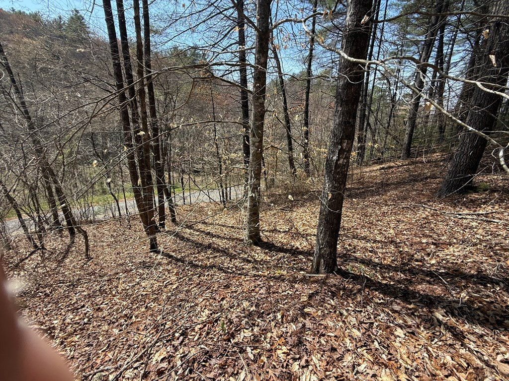 0 Morrow Road Property Photo 5