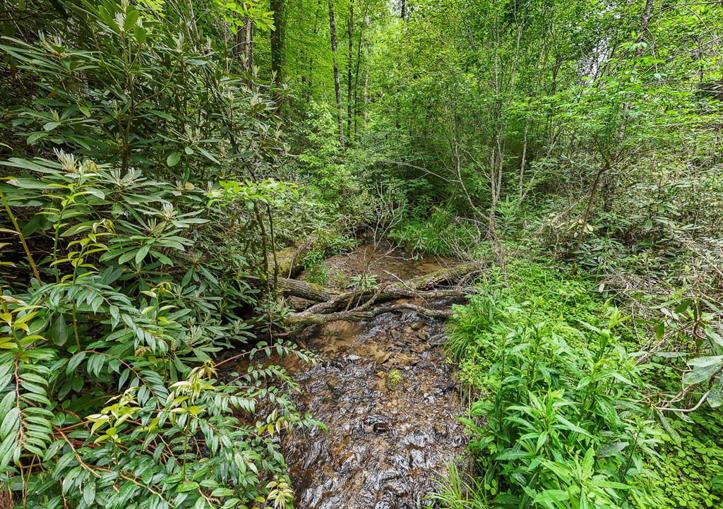 399 Shell Stand Road Property Photo 8