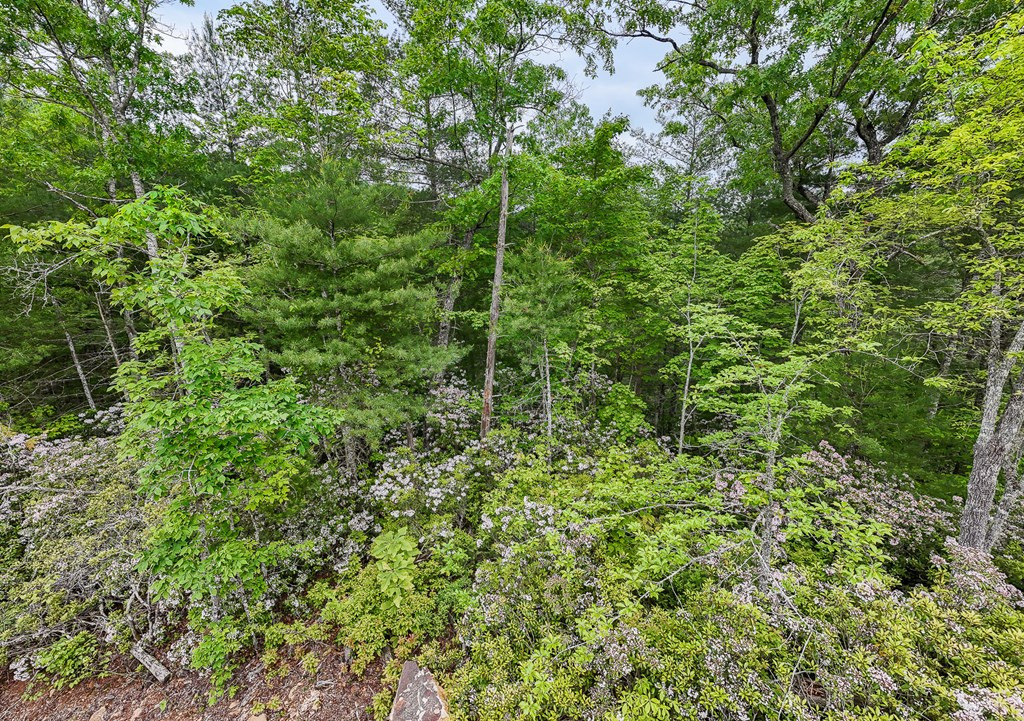 399 Shell Stand Road Property Photo 15