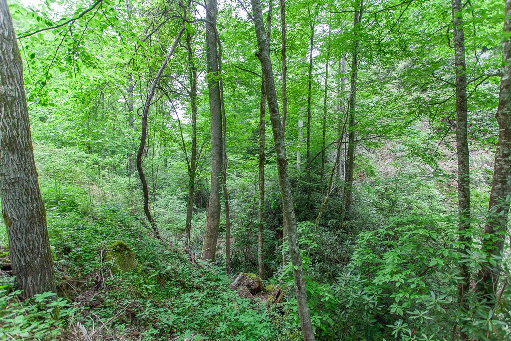 399 Shell Stand Road Property Photo 20