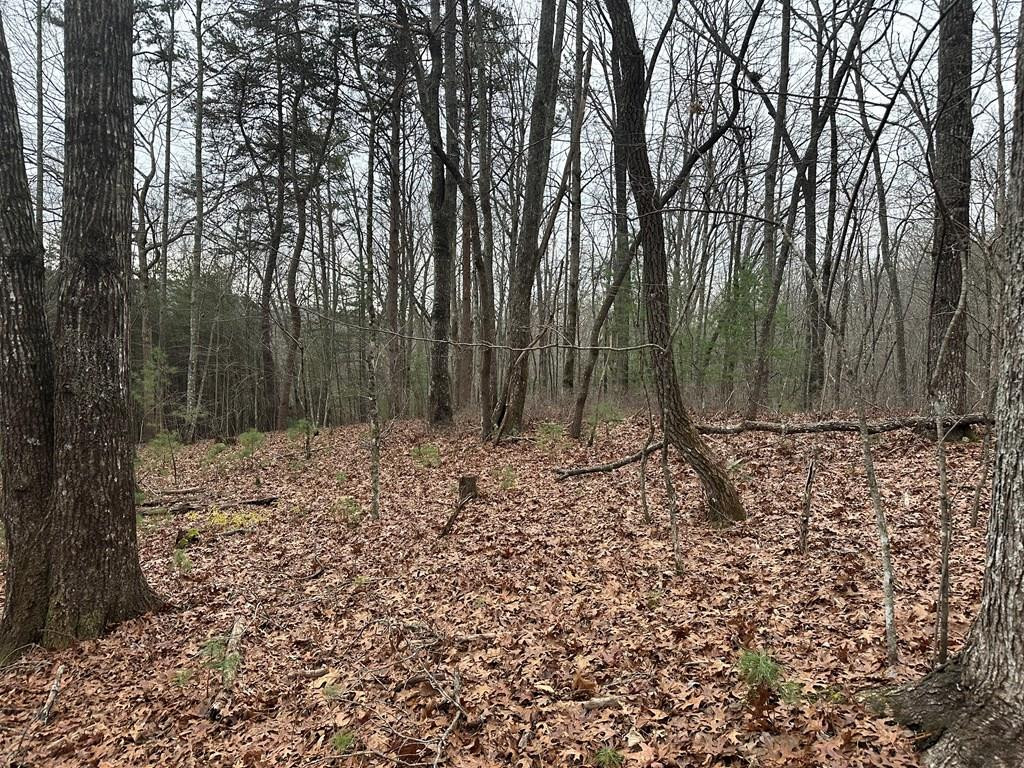 00 Marrestop Property Photo 1