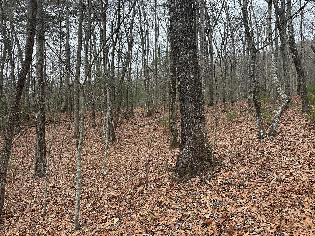 00 Marrestop Property Photo 2