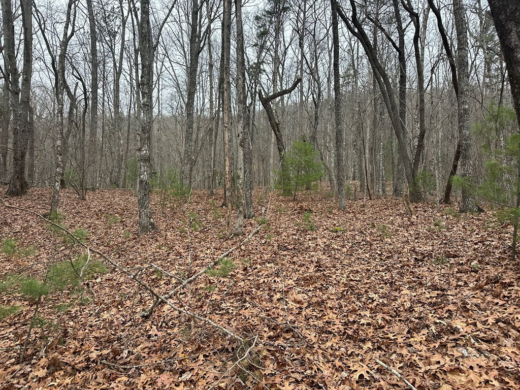 00 Marrestop Property Photo 3