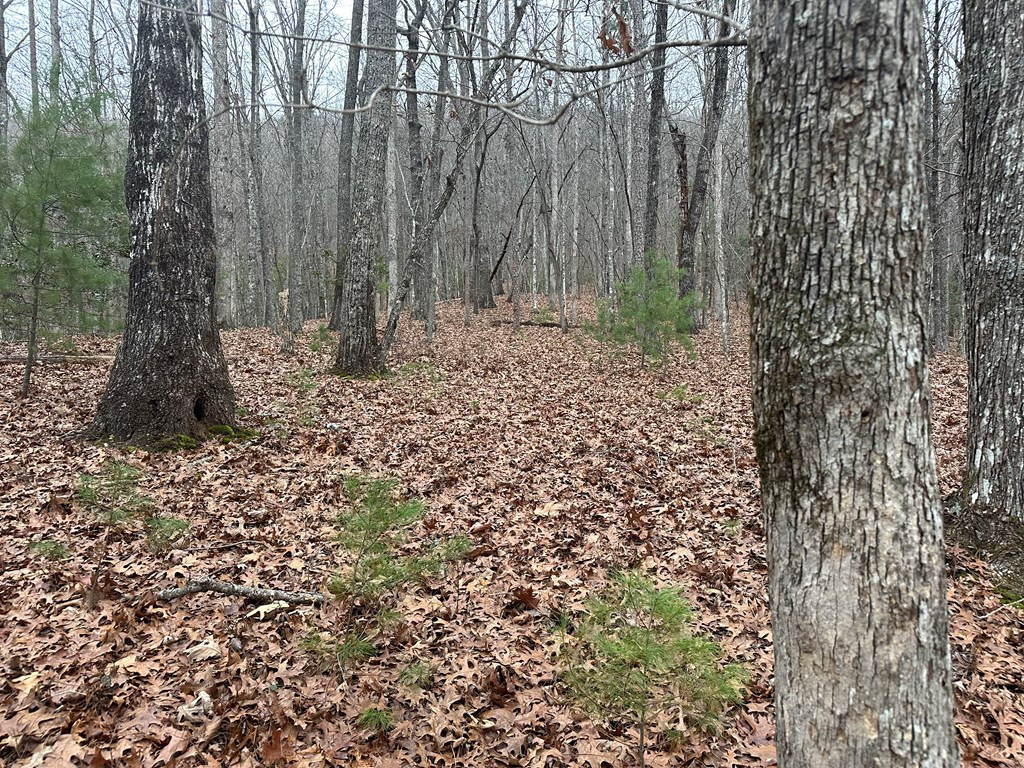 00 Marrestop Property Photo 6