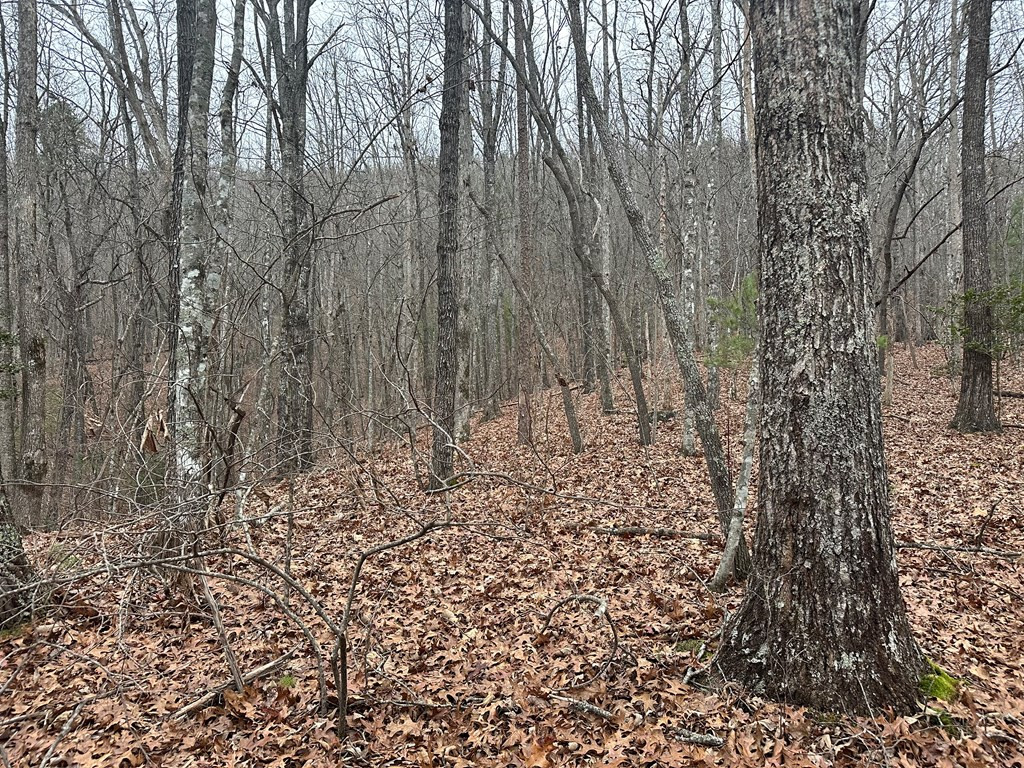 00 Marrestop Property Photo 7