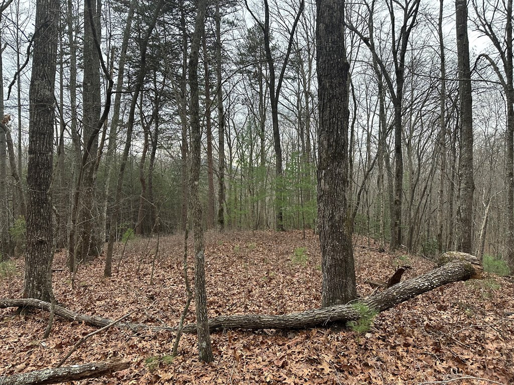 00 Marrestop Property Photo 8
