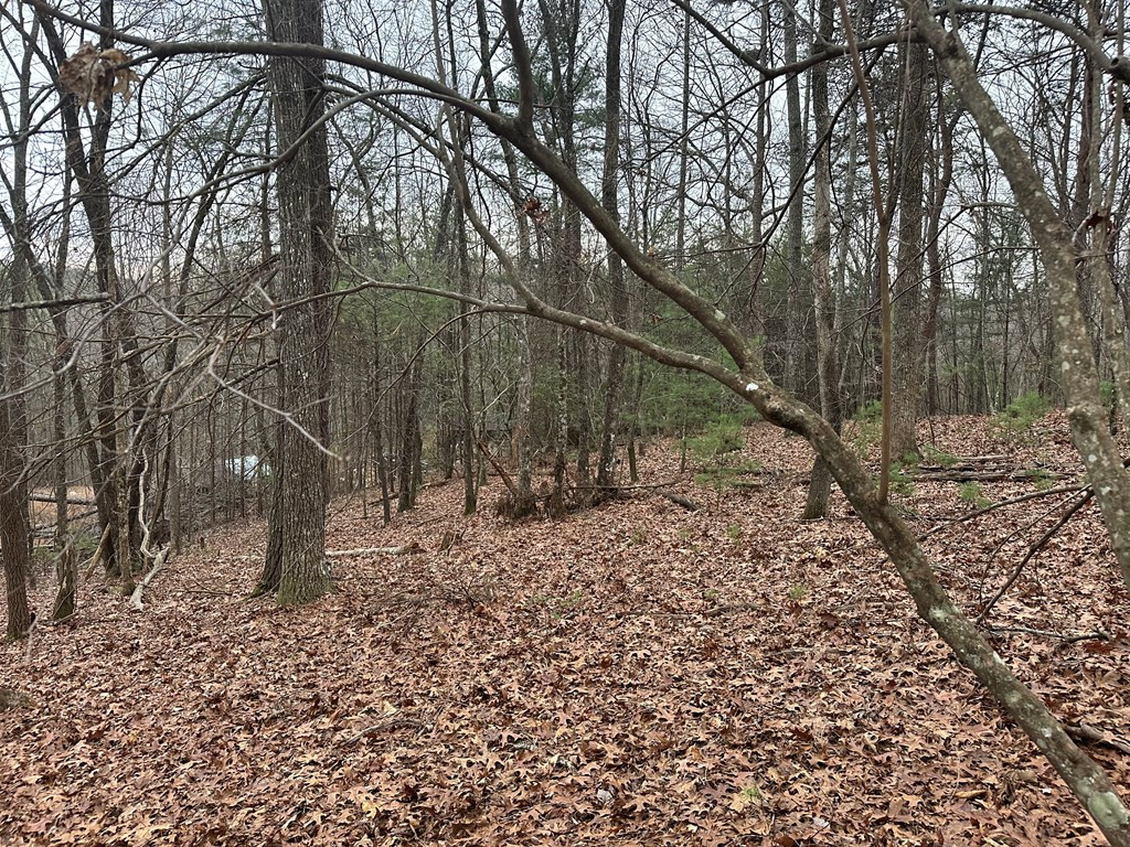 00 Marrestop Property Photo 10