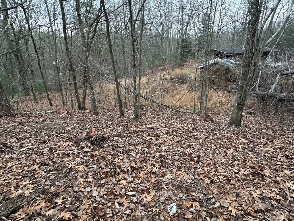 00 Marrestop Property Photo 11