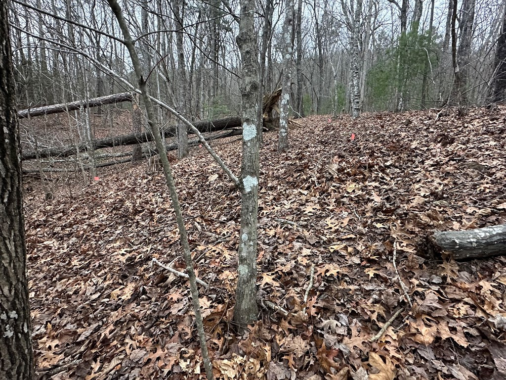 00 Marrestop Property Photo 12