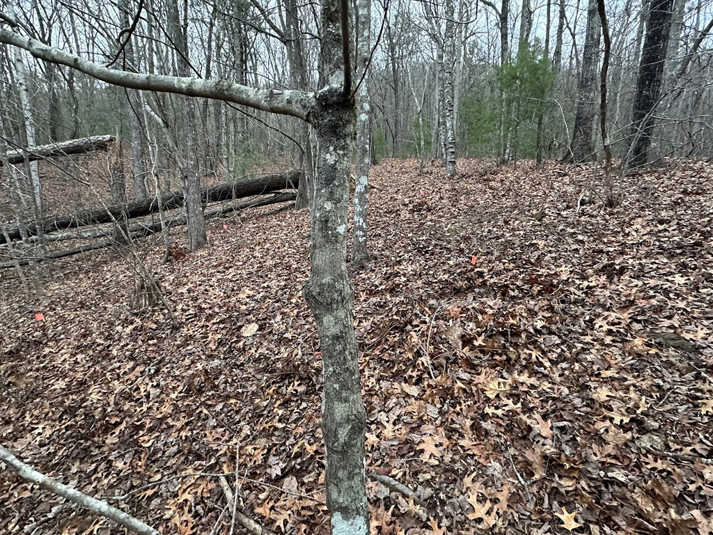 00 Marrestop Property Photo 13