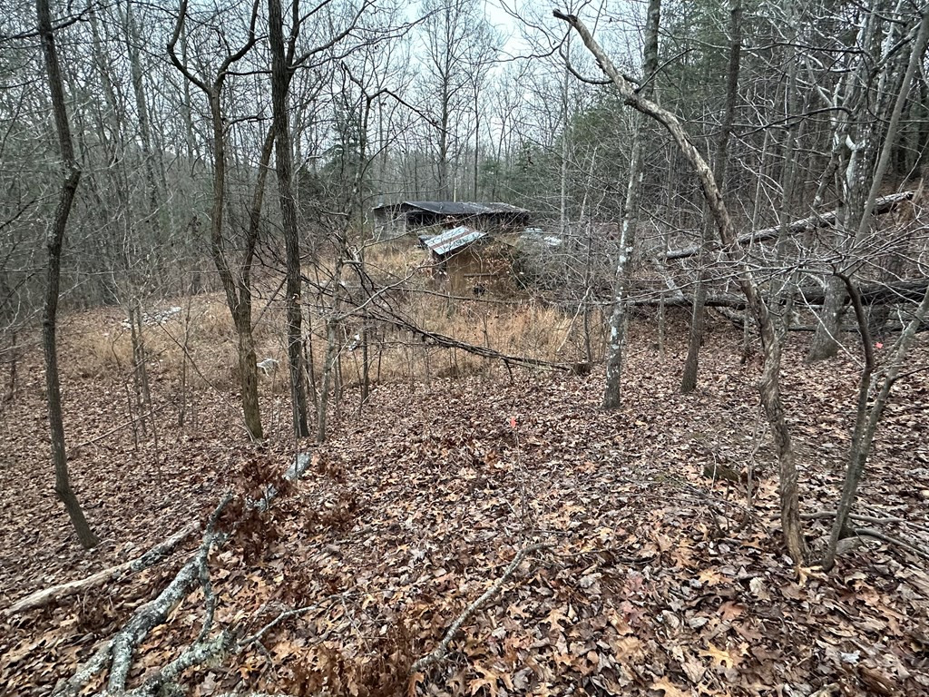 00 Marrestop Property Photo 14