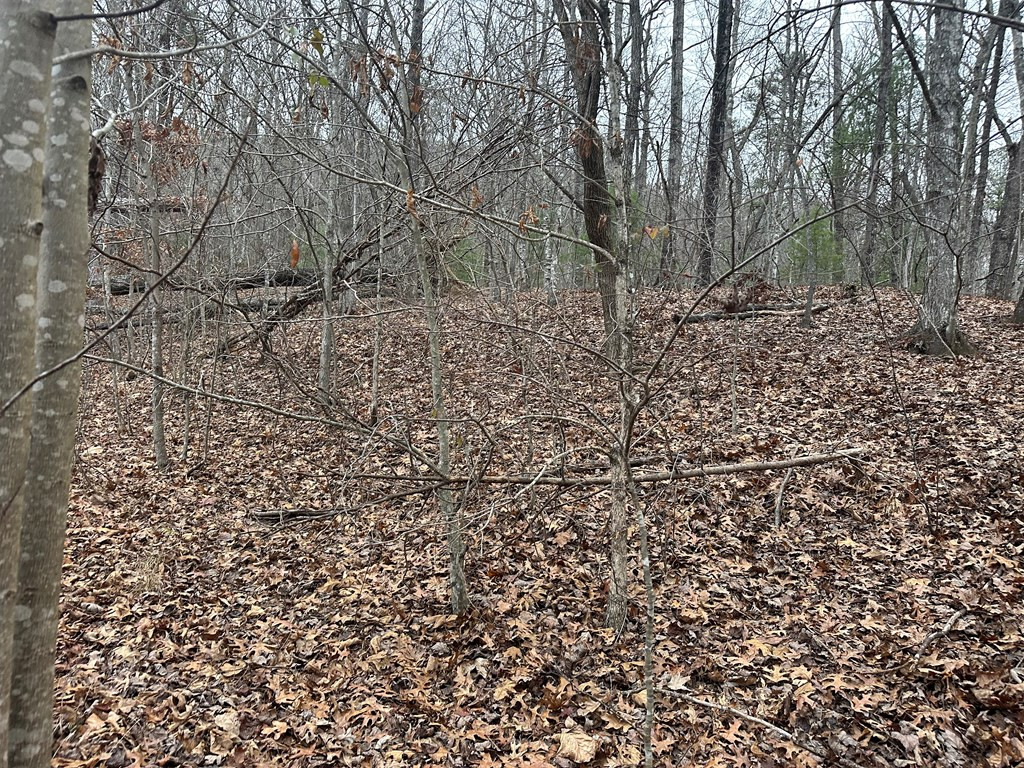 00 Marrestop Property Photo 15