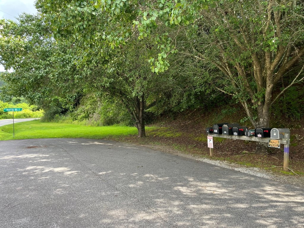 71 1 Martin Hills Drive Property Photo 3