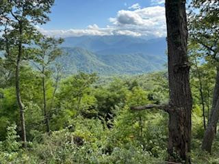 Lot 30 Hickory Cove Road Property Photo 1