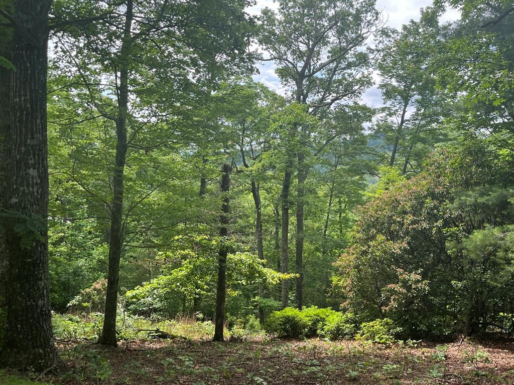 Lot 40 40 Burger Road Property Photo 1