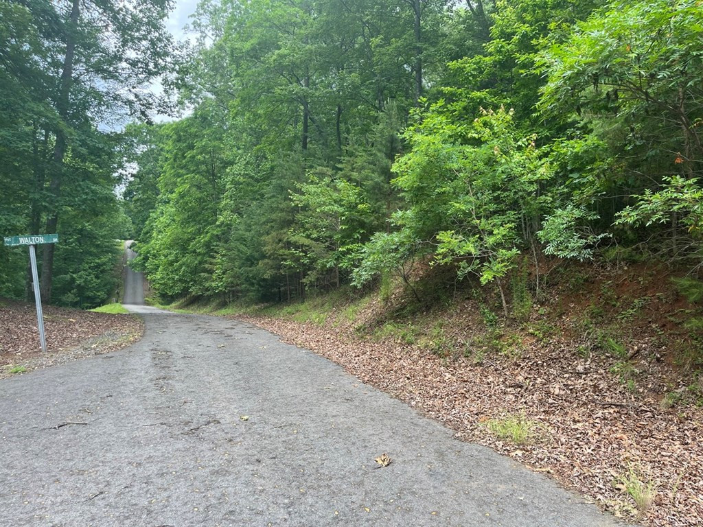 Lot 64 Cirrus Drive Property Photo 4